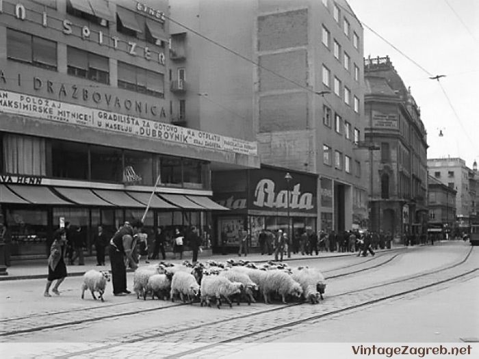 Trg bana Josipa Jelačića — 1938