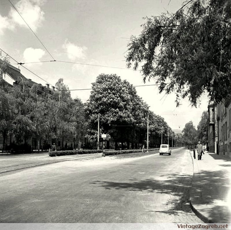 Ulica Medveščak — 1950-ih