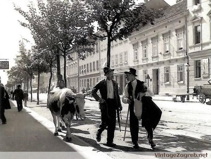 Draškovićeva — 1920