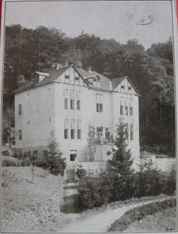 Sanatorij Brestovac - stara zgrada Sanatorij Brestovac - stara zgrada