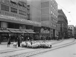 Trg bana Josipa Jelačića — 1938