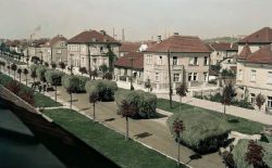 Zvonimirova — 1930