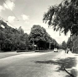 Ulica Medveščak — 1950-ih