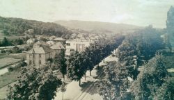Mirogojska cesta — 1950