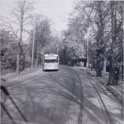 Mirogojska cesta — 1960-1970