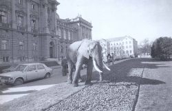 Hrvatsko narodno kazalište u Zagrebu — 1978