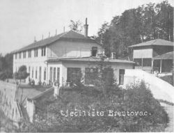 Sanatorij Brestovac