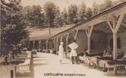 Sanatorij Brestovac — 1927