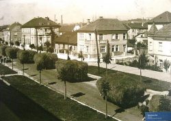 Zvonimirova — oko 1930